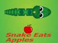 Game Snake Eats Apple