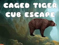 Jeu Évasion d'un petit tigre en cage 