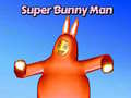 Jeu Super Bunny Man