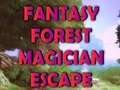 Jeu Fantasy Forest Magician Escape