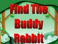 Jeu Find The Buddy Rabbit
