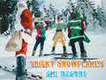 Game Ski Resort Hidden Snowflakes