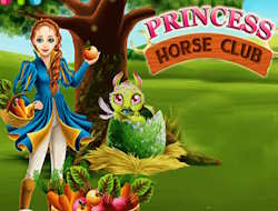 Jeu Club équestre Princesse .
