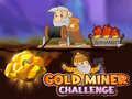 Jeu Gold Miner Challenge