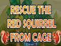 Jeu Rescue The Red Squirrel From Cage