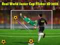 Jeu Real World Soccer Cup Flicker 3D 2023