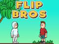 Game Flip Bros