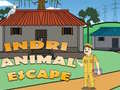 Jeu Indri Animal Escape