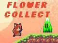 Jeu Flower Collect