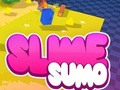 Jeu Sumo Slime 3D