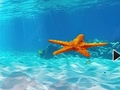 Game Escape From Underwater Starfish