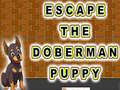Jeu Escape The Doberman Puppy