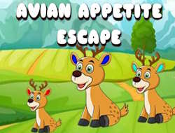 Jeu Évasion de l’appétit aviaire 
