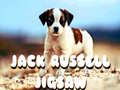Game Jack Russell Jigsaw