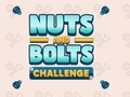 Game Nuts and Bolts Challenge