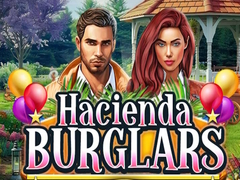 Jeu Hacienda Burglars