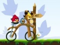Jeu Angry Birds Bike Revenge