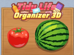 Game Tidy Life Organizer 3D