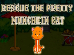 Jeu Rescue The Pretty Munchkin Cat