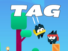 Jeu Tag