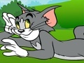 Jeu Tom and Jerry ATV Adventure