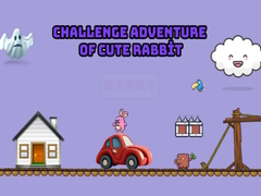Jeu Challenge adventure of cute rabbit