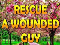 Jeu Rescue A Wounded Guy