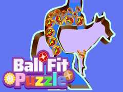 Jeu Ball Fit Puzzle