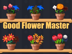 Jeu Good Flower Master