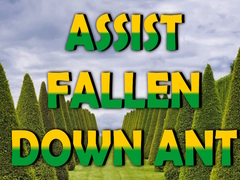 Jeu  Assist Fallen Down Ant