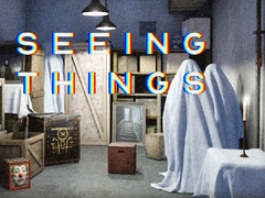 Jeu Seeing Things