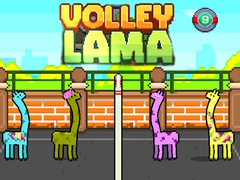 Jeu Volley Lama