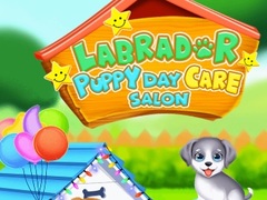 Jeu Labrador Puppy Daycare Salon