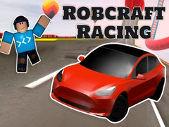 Jeu Robcraft Racing