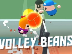 Jeu Volley Beans