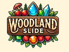 Jeu Woodland Slide