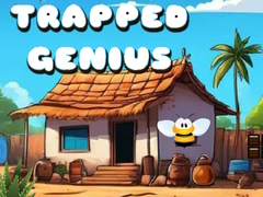 Jeu Trapped Genius