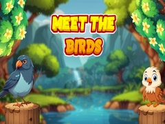 Jeu Meet The Birds 