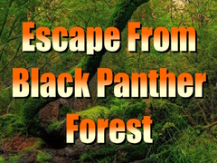 Jeu Escape from Black Panther Forest