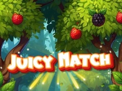 Jeu Juicy Match