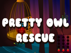 Jeu Pretty Owl Rescue