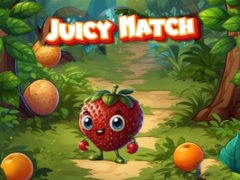 Jeu Juicy Match