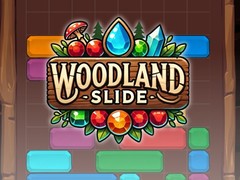 Jeu Woodland Slide