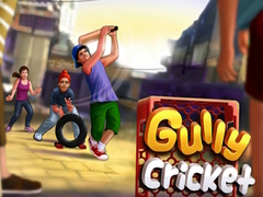 Jeu Gully Cricket