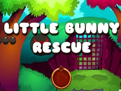 Jeu Little Bunny Rescue