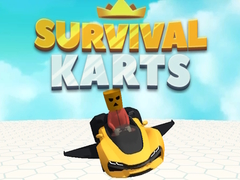 Jeu Survival Karts