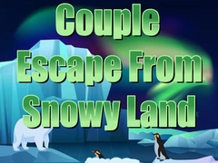 Jeu Couple Escape from Snowy Land