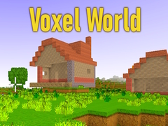 Jeu Voxel World