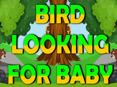 Jeu Bird Looking For Baby