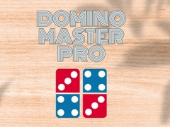 Jeu Domino Master Pro